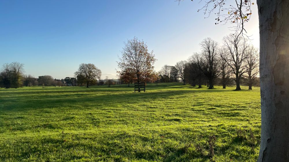 Bare trees, green grass, long shadows, golden light, cloudless blue sky, but slightly different ones from the other picture 