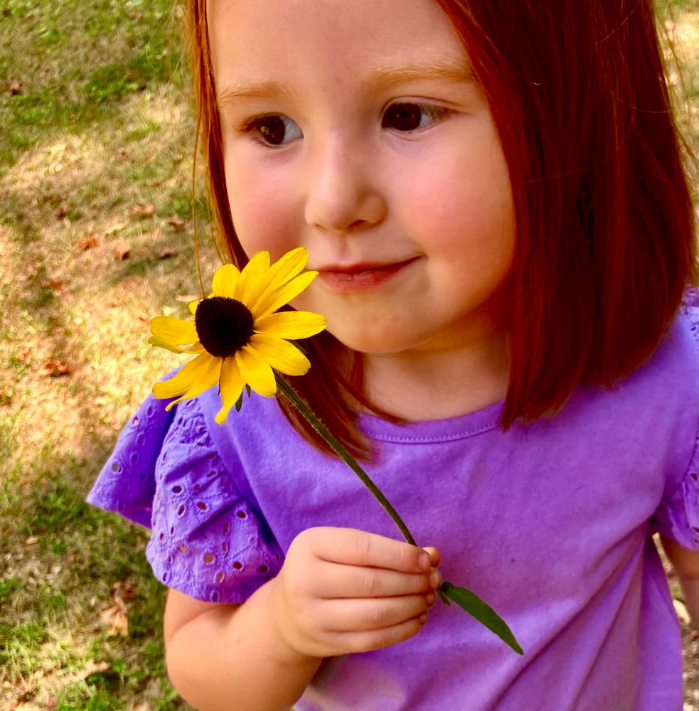 Little girl with red hair and brown eyes and a tiny smile wearing a purple shirt holding a brown-eyed Susan flower in her hand..summer grass and shadows in background