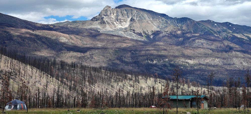 View south from Wapiti campground. Mountain with black trunks, where a green forest was before.