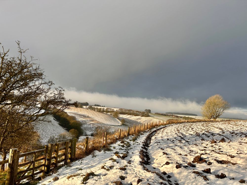 Light Snow Showers On The Frozen Wolds. 0°C . Red Kite numerous.
