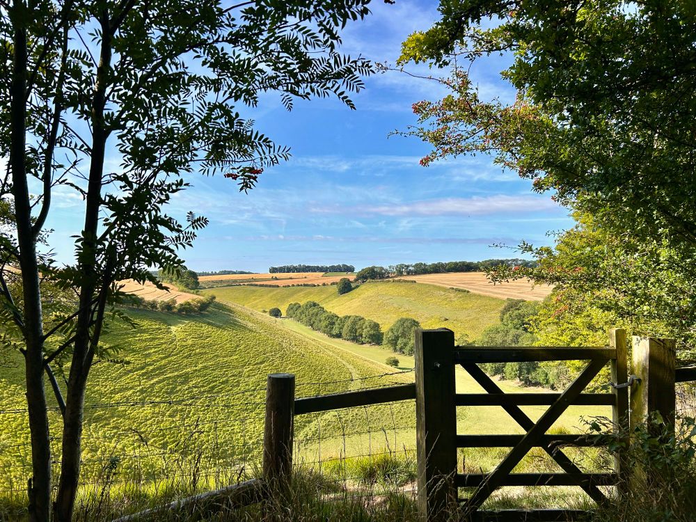 Distant Views. 21°C on the Yorkshire Wolds. Hawthorn berries.