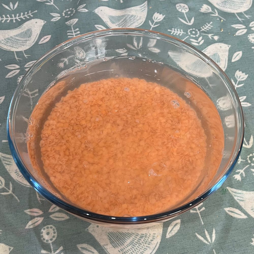 Split red lentils soaking in a large Pyrex bowl of water 