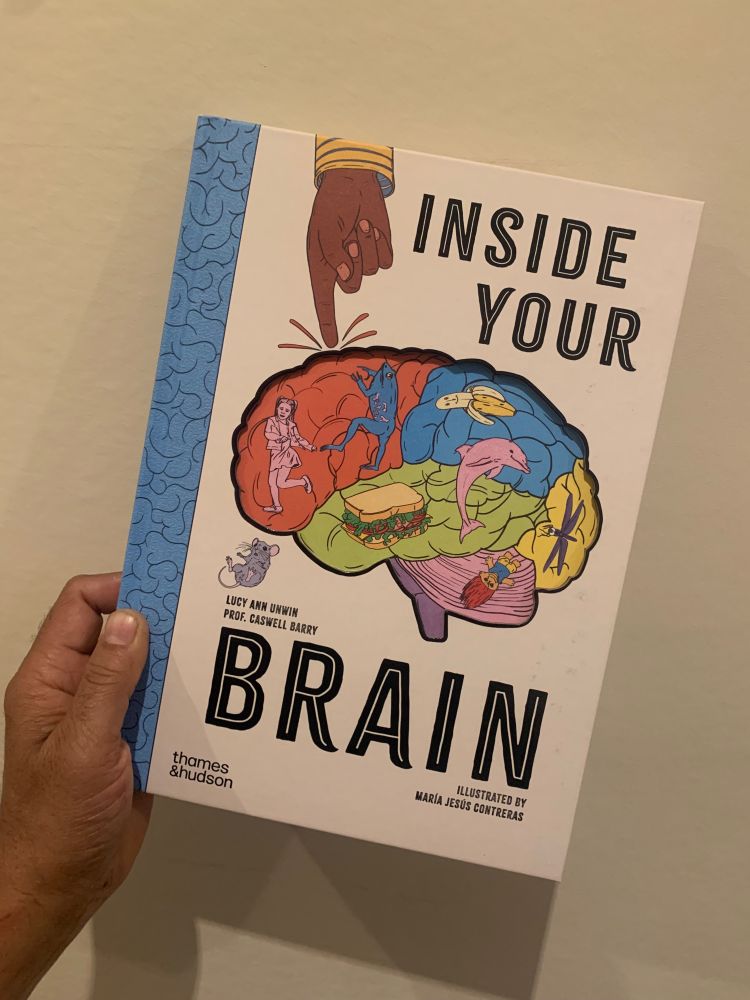 Hand holding a book up against a plain white wall. The book is called "Inside Your Brain: and the cover shows a brown hand pointing at a brain which has images of people, a sandwich, dolphins, a banana, a troll toy, a frog, and a dragonfly against different coloured segments of the brain. 