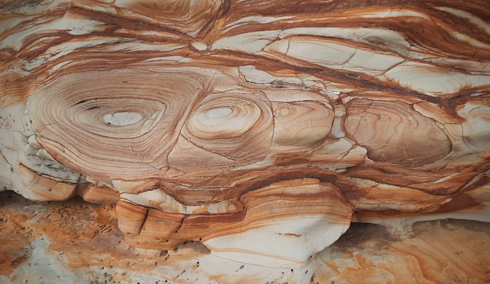 Weathered sandstone north of Christmas Beach, Herald Island. There are swirls and whorls and striations and pock marks in the rock formation. Colours of coral red, rust, orange, and creamy tan are thrown into a wonderful mix. I think I wore a '60s-style mod dress with a pattern like this when I was younger : ) 