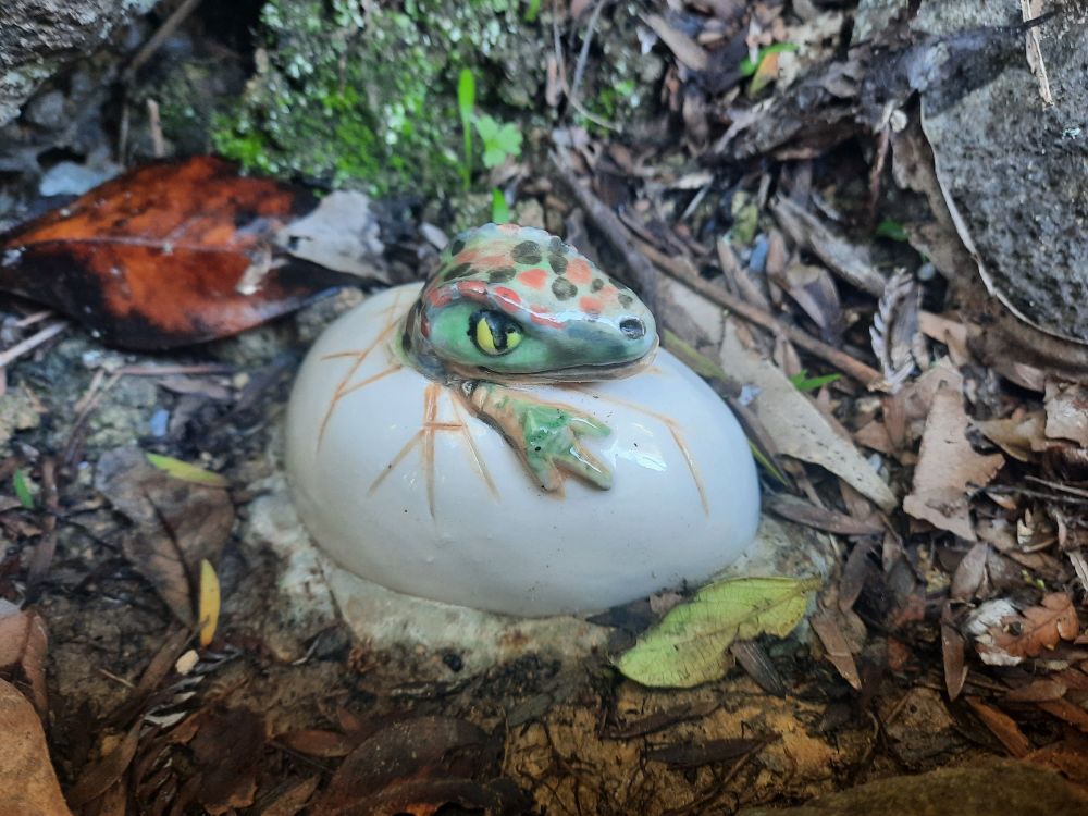 Around Lake Panorama, "Westie Rocks" leaves either painted rocks or ceramic creatures around the trailside for people to stumble across.  Breaking out of its shell, a smol green-spotted dragon blinks at the world around him. At least it looks like a dragon in my imagination : ) He's hanging out for a moment, fissures and cracks on the shell that has sheltered him thus far, as if figuring out his next step. The forest floor is strewn with leaves, pieces of bark, and moss. I don't take him home as he might torment the cat (or the other way around...or perhaps they become besties!) 