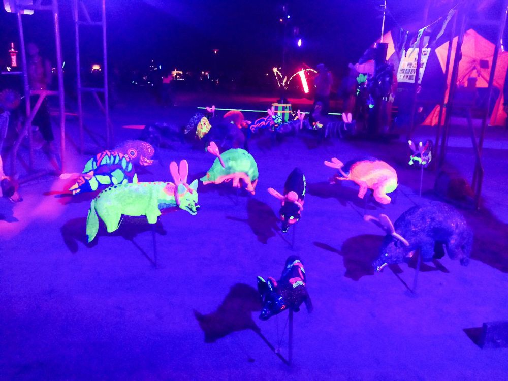 Coyote Garden at night during Burning Man 2014