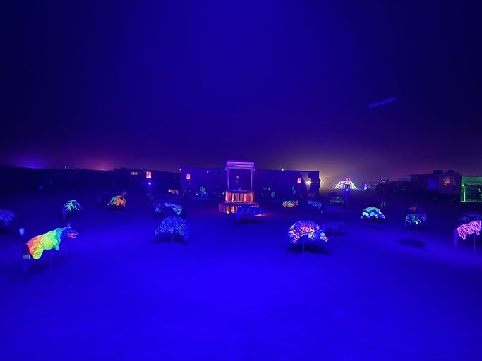 Coyote Garden at Burning Man 2024