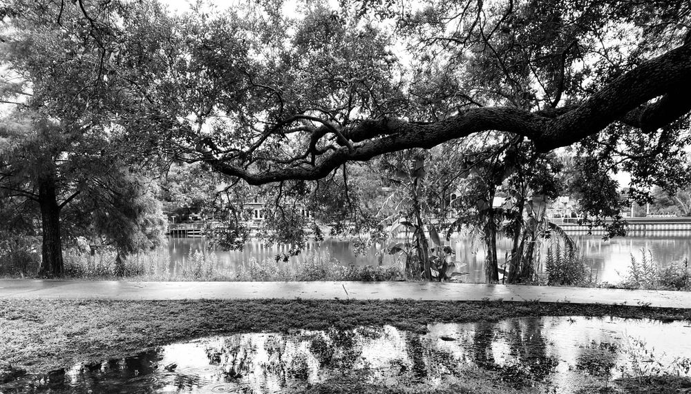 Writer Melanie Dione reflects on leaving New Orleans during Hurricane Katrina and returning years later to do climate justice work.