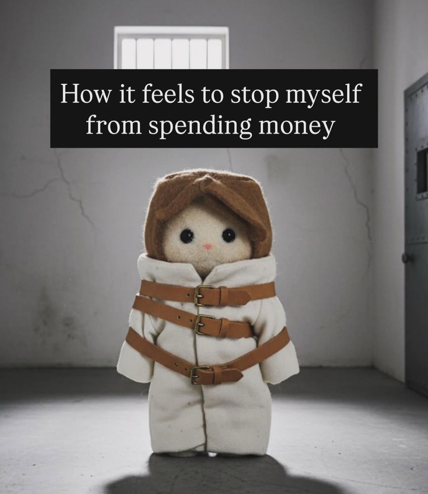 boneco sylvanian usando uma camisa de força, escrito: How it feels to stop myself from spending money