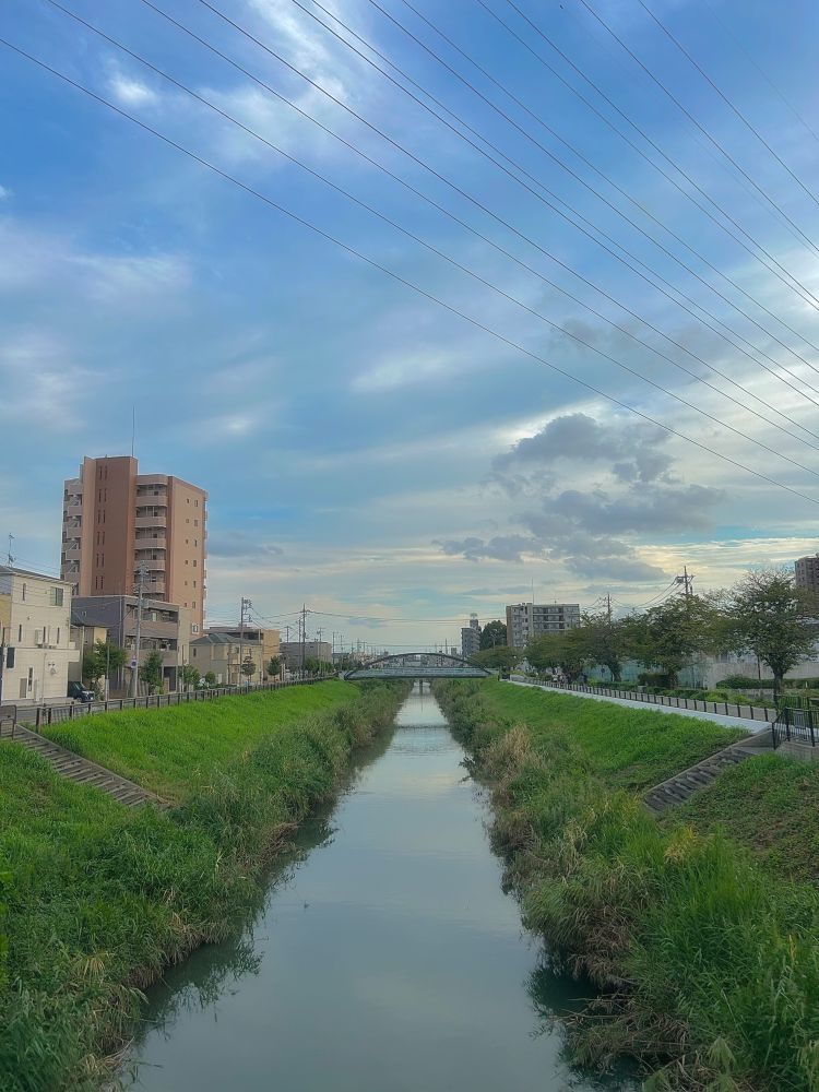 cenário de cidade com rio e ponte