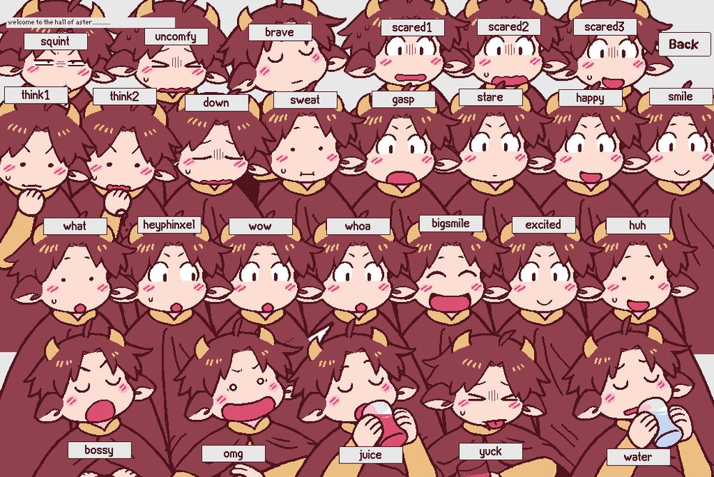 A sprite sheet of my character, Aster. There's like 30 of him making various expressions. 

The tiny text in the top left corner says, "welcome to the hall of aster..."