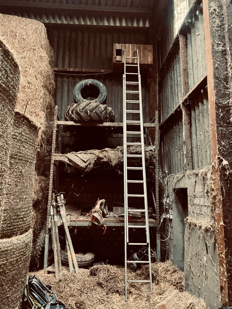 Schleiereulenkasten in einer Scheune