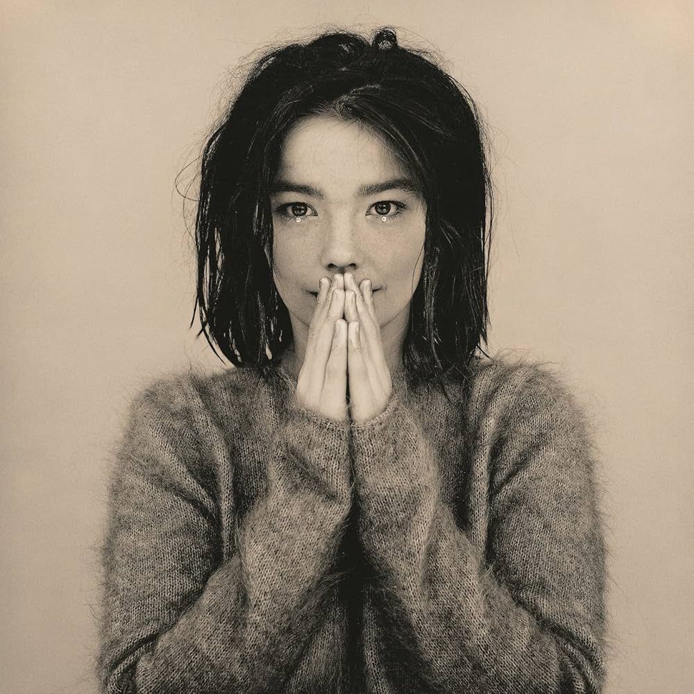 Bjork's 1993 release Debut