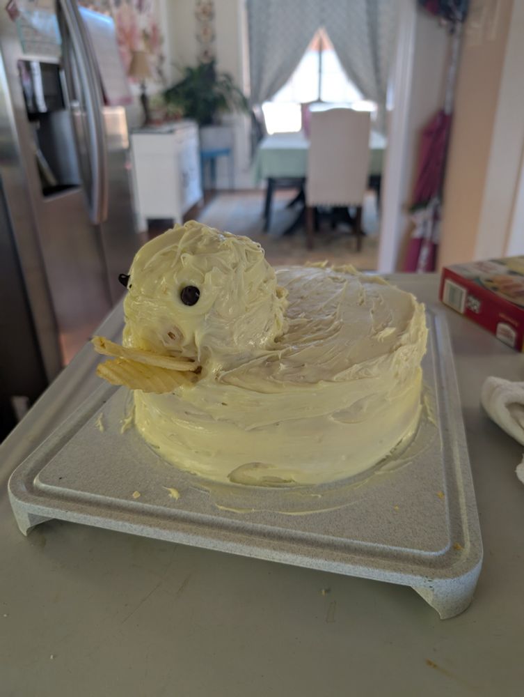 A home-made cake in the shape of a crude representation of a duck.