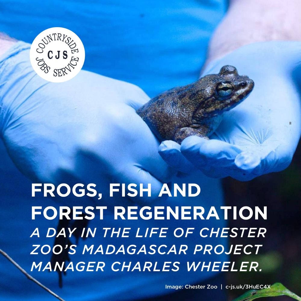 a person in a blue tshirt and blue gloves holding a frog. Text reads: Frogs, fish and forest regeneration with Charles Wheeler, Madagascar Project Manager for Chester Zoo