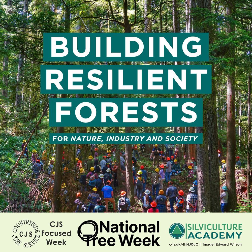 A large group of people wearing hard hats stand in a forest looking at trees. Text reads: Building resilient forests for nature, industry and society. 