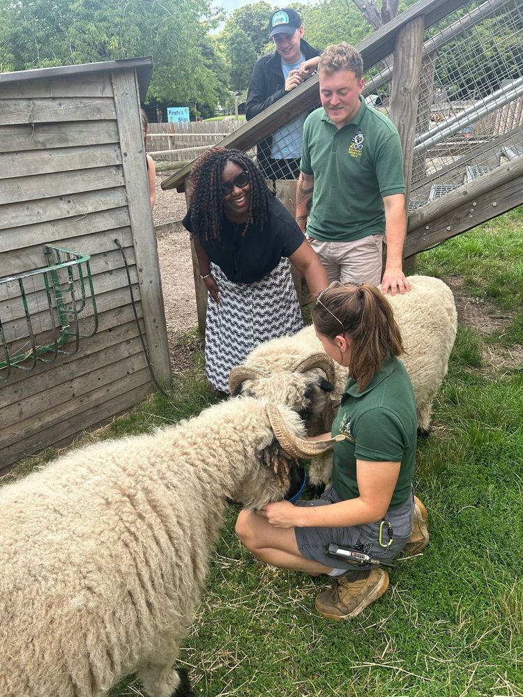 Marsha feeding a sheep