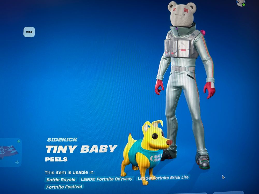 A screenshot of my Fortnite locker, I’m a human with a white bear head and a silver tracksuit with a rainbow trim.  Next to me is a half banana half dog in a blue harness and he’s a very good boy.  I have named him Tiny Baby.  