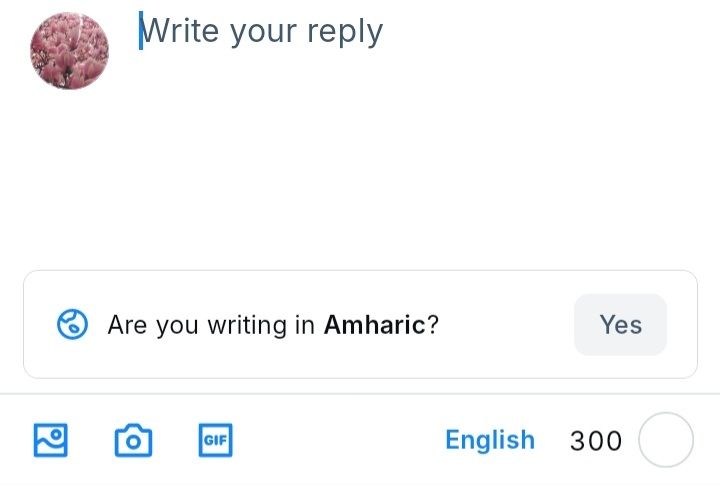 A Bluesky invitation to "Write your reply"; there's nothing typed into the reply box.

However, below is a question: "Are you writing in Amharic?"