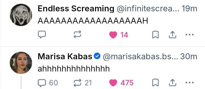 Consecutive recent posts in my timeline.

@infinitescream.bsky.social posted:

AAAAAAAAAAAAAAAAAAH.

@marisakabas.bsky.social posted:

ahhhhhhhhhhhhhh.