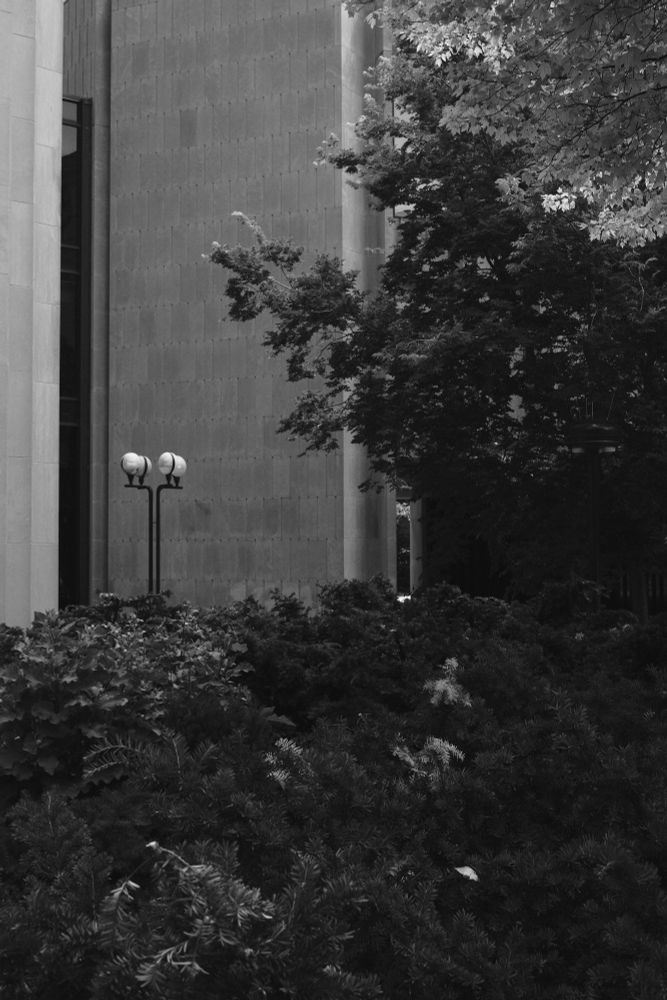 A black and white image of a lamp post which has four light globes. Visible at a distance through a foreground of foliage from trees and shrubbery. 