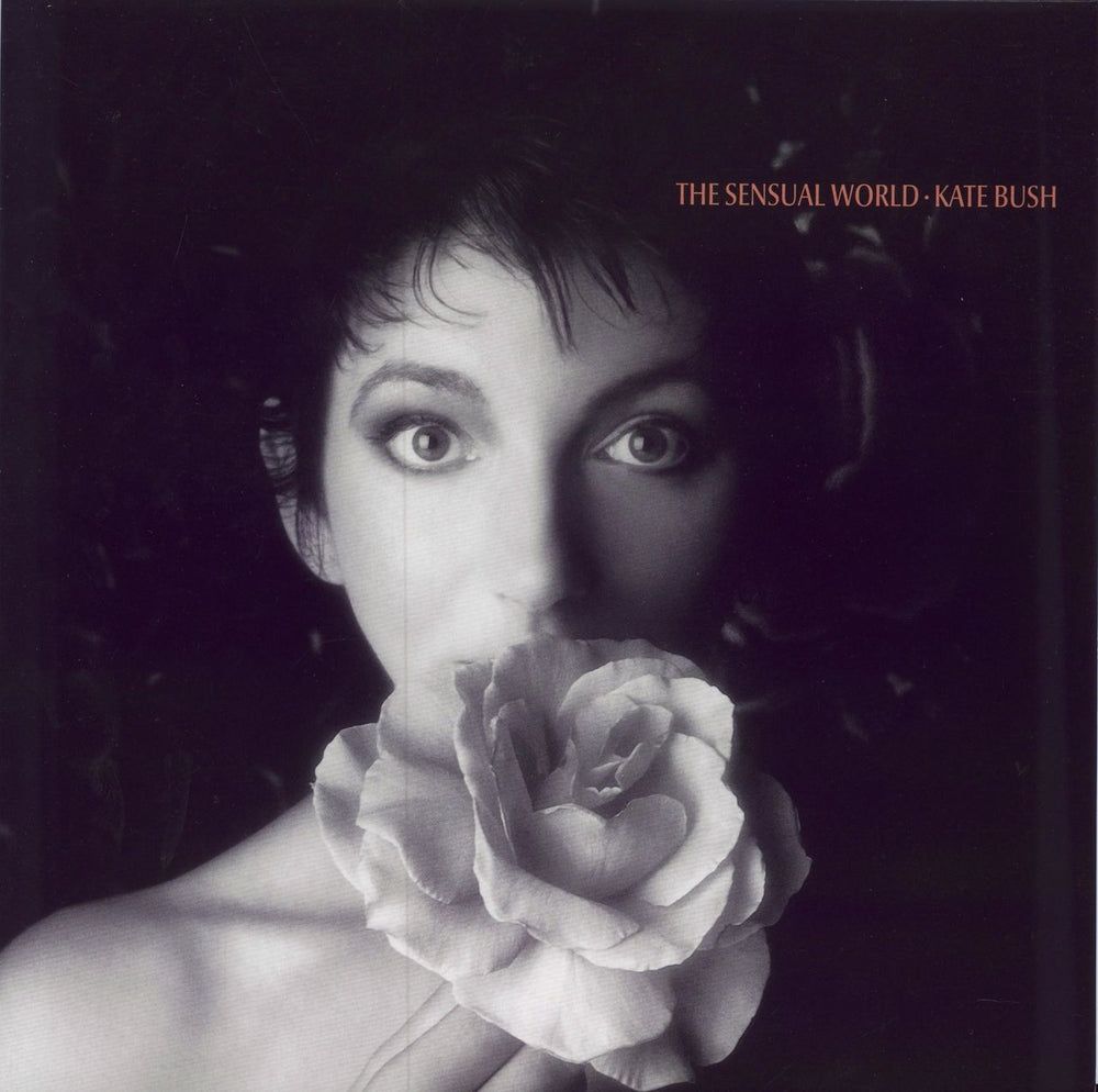A dark background with the singer Kate Bush in the center, holding a flower in front of her face. 