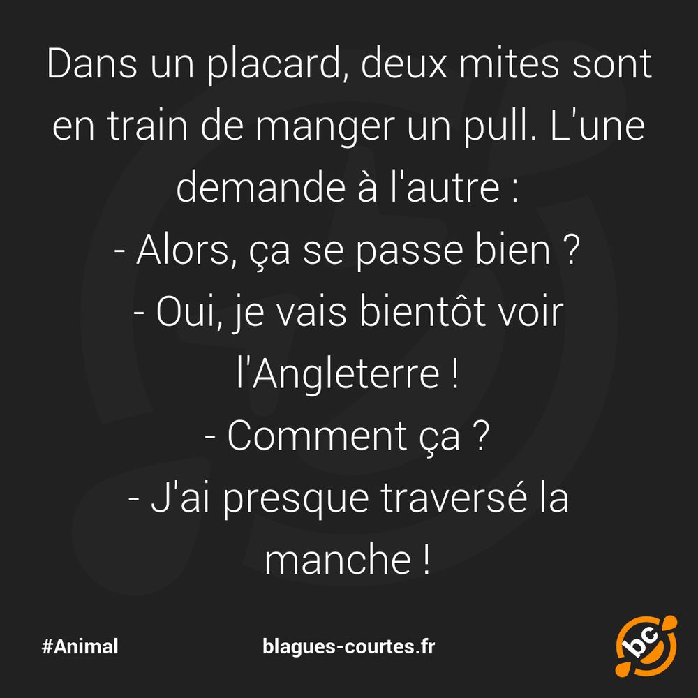 🤣 Blague du jour : Deux mites dans un placard…
▶️ https://blagues-courtes.fr/b10798