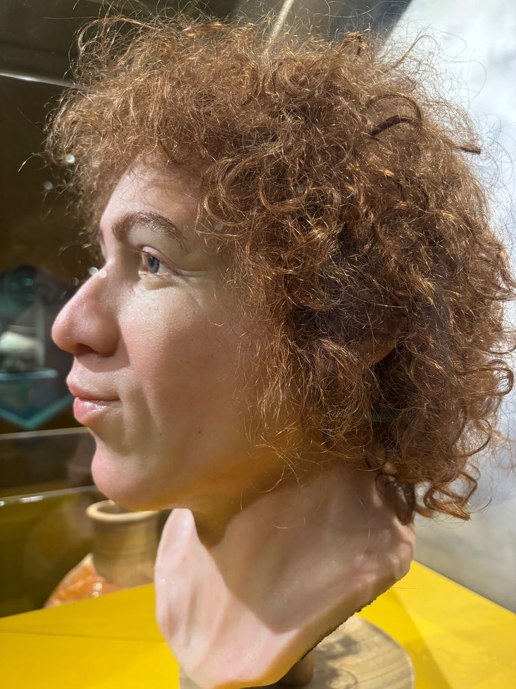Reconstruction of the face of the first known Amsterdam man, from medieval times 
