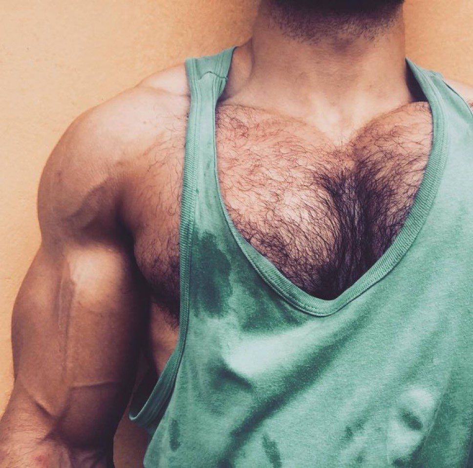 A photo of a muscular man with thick chest hair and a spectacularly defined upper torso is wearing a green tank-top. The photo is cut off at the neck, just below the chin, so the MEAT's face cannot be seen.