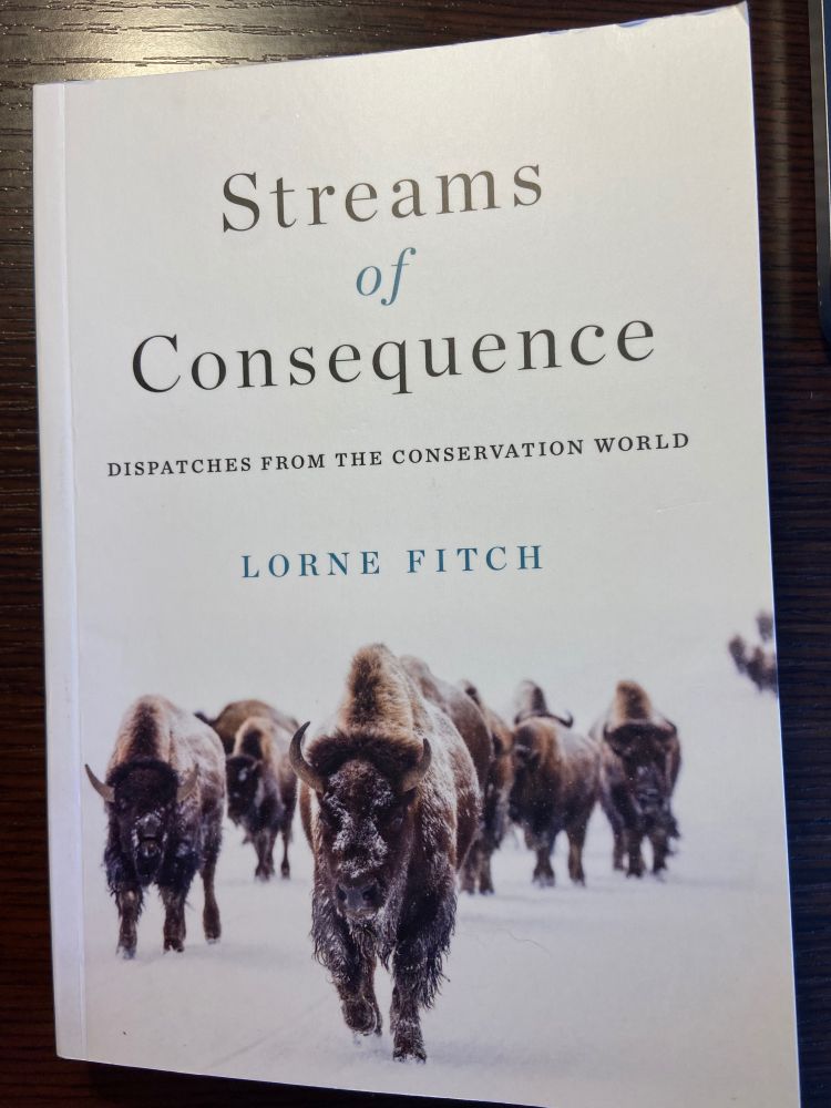 Shot of Lorne Fitch’s book ‘Streams of Consequence: Dispatches from the Conservation World’, which features a herd of chocolate brown bison walking towards the viewer across a snowy expanse. 