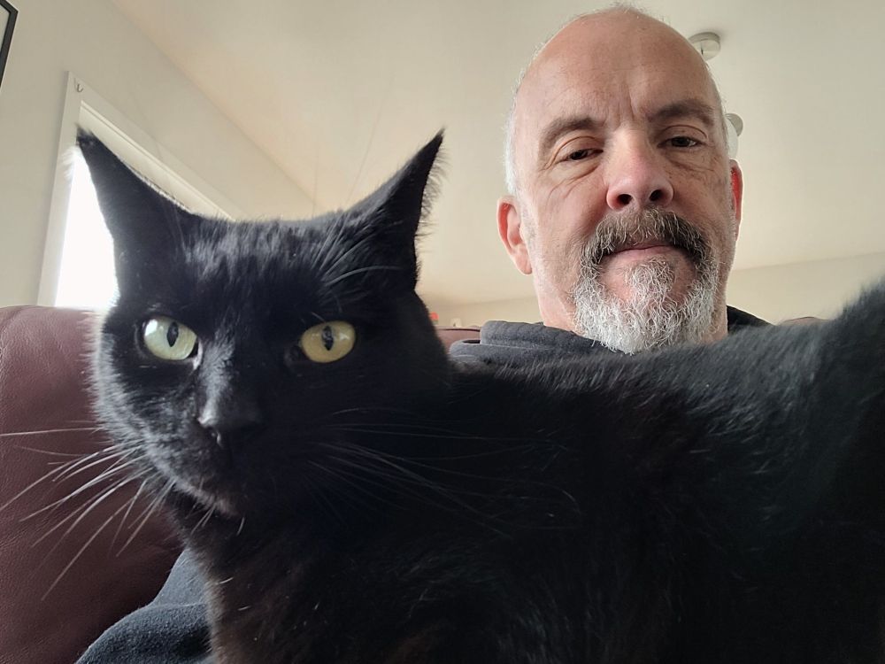 A boring bald white guy with an alert young cat looking straight at the camera 