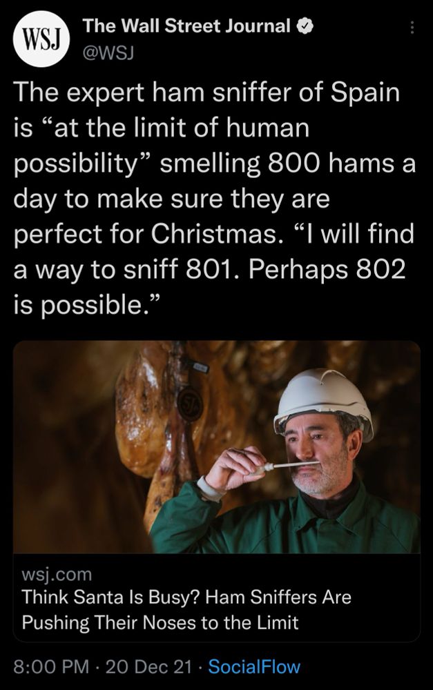 Screenshot of a tweet containing a WSJ article. 'The expert ham sniffer of Spain is "at the limit of human possibility" smelling 800 hams a day to make sure they are perfect for Christmas. "I will find a way to sniff 801. Perhaps 802 is possible.'