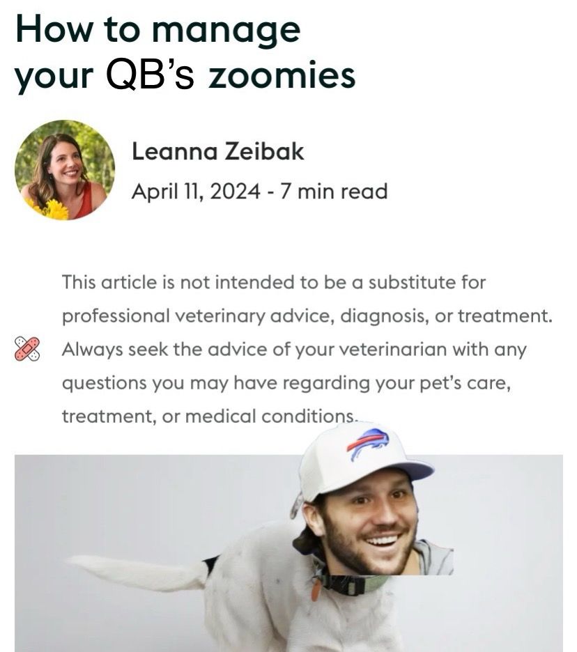 Article about fixing dog zoomies edited to be about Josh Allen