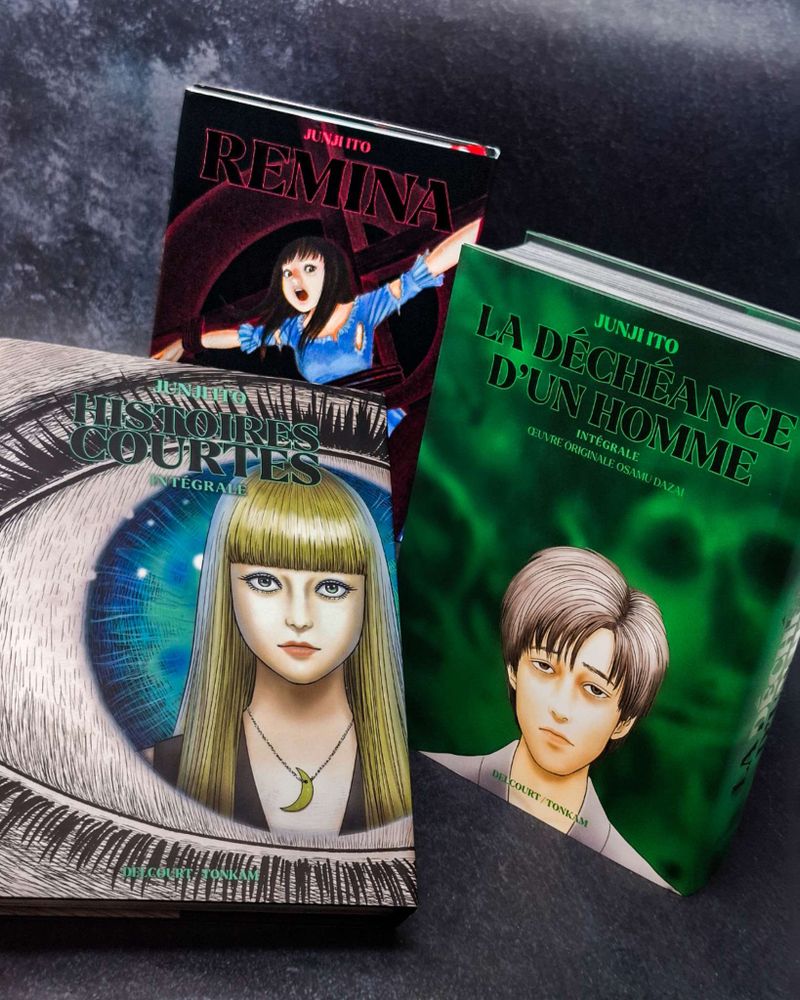 Histoires Courtes, Remina et La Déchéance d'un homme de Junji Ito