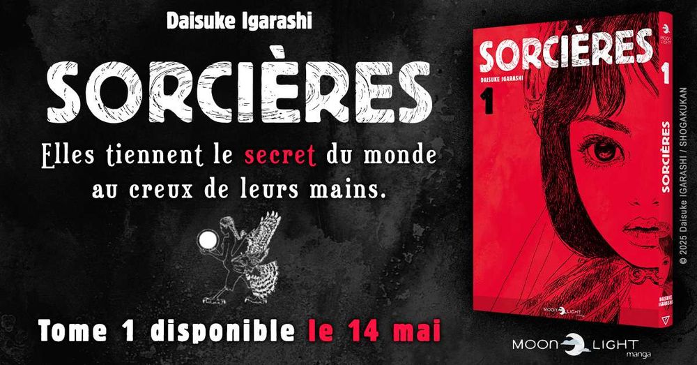 Sorcières de Daisuke Igarashi aux éditions Delcourt/Tonkam - Collection Moonlight

"Elles tiennent le secret du monde au creux de leurs mains"

Tome 1 disponible le 14 mai