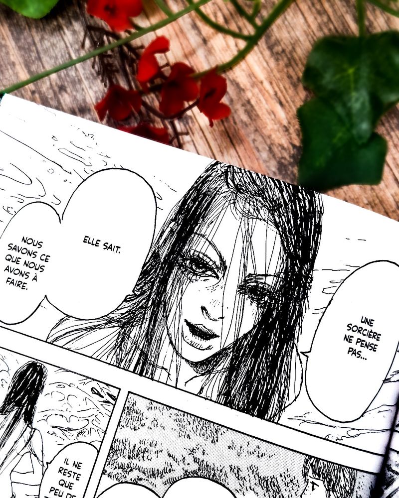 Planche de Sorcières T.2