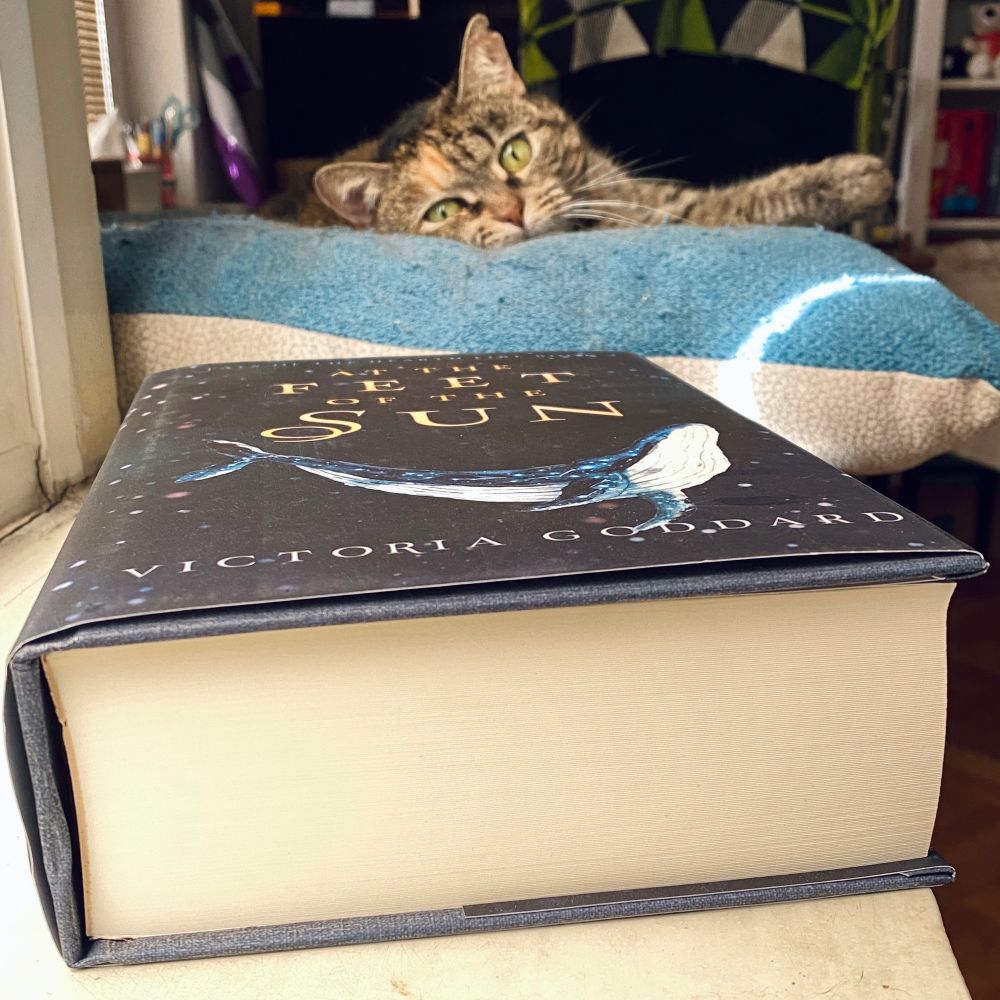 A hardcover of At the Feet of the Sun pictured from the side with a tabby cat staring at it in the background