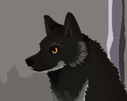 Cropped art of a black northwestern grey wolf with white fur on its chin and chest.