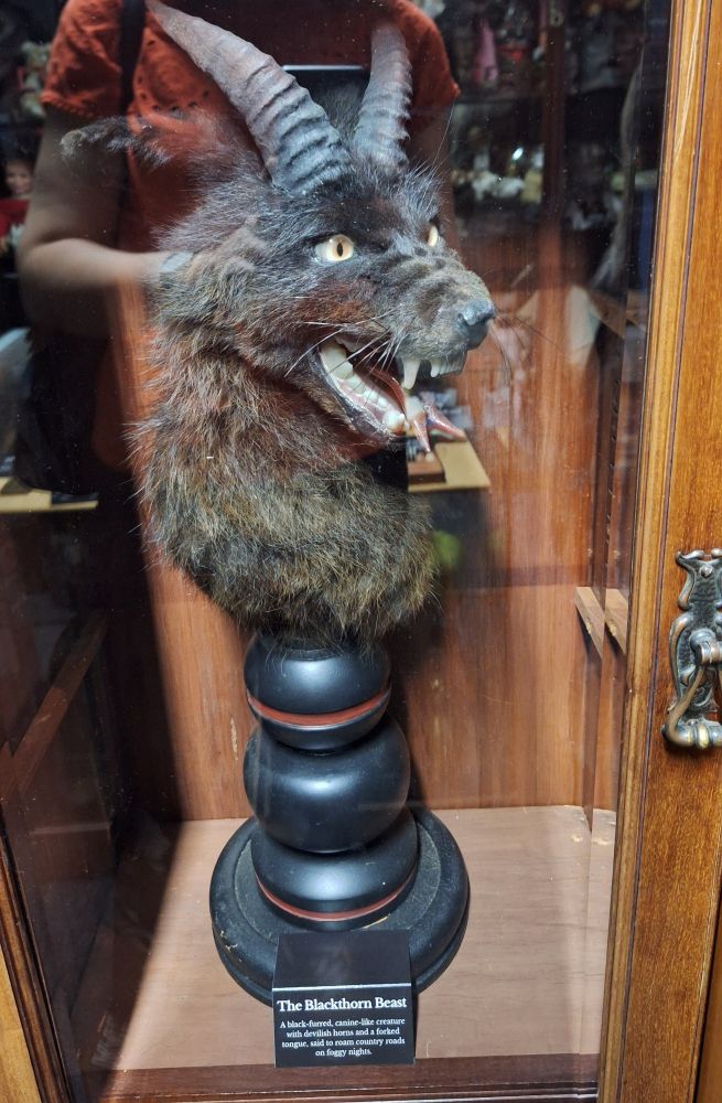 The Blackthorn Beast - a taxidermy hoax in which a black dog's head was given cat's eyes, whiskers, horns and a forked tongue to create a demon-like appearance. 