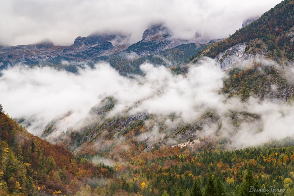 Low clouds hang on the slopes of forested hills in the Julian Alps in Slovenia in Autumn.