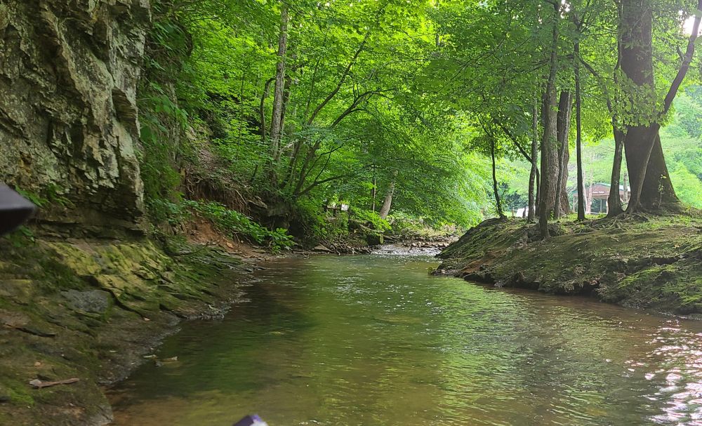 Photo shows a creek with clear water on a sunny day. There is a rock wall on the left side covered in moss. The area is wooded and shady, with sunlight peeking down through the trees. 