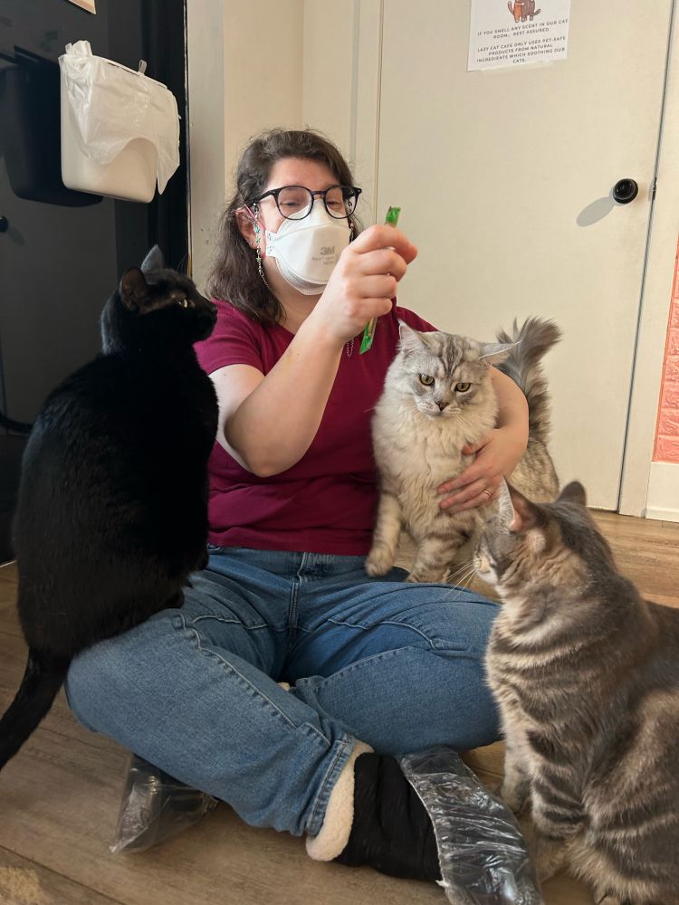A white woman with brown hair and glasses, wearing jeans, a t-shirt, and a 3M Aura N95 mask, sits cross-legged on the floor in a car cafe. A black cat is perched on one knee; a grey tabby stares attentively from in front of her other knee; a magnificent floof chills in the circle of her arm. In her other hand she holds one of those tubes of delicious cat-treat gloop.