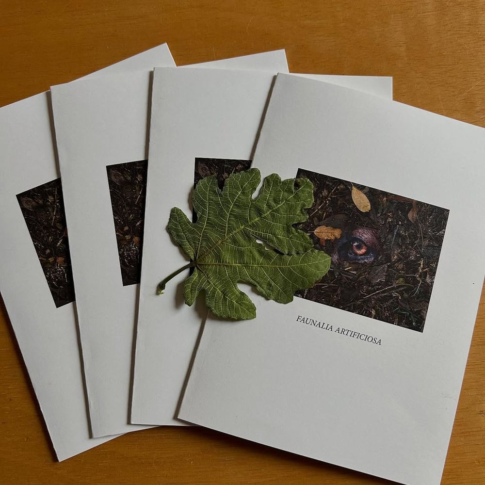 Capa do livreto Faunalia Artificiosa, produzido pelo centro de arte contemporânea Wiels. Na foto, o solo de uma floresta tem um olho de cachorro. 