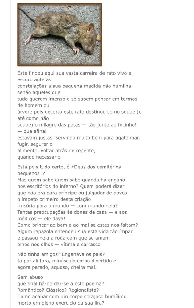 Foto de um rato morto no chão seguido do poema

Este findou aqui sua vasta carreira de rato vivo e escuro ante as
constelações a sua pequena medida não humilha senão aqueles que
tudo querem imenso e só sabem pensar em termos de homem ou
árvore pois decerto este rato destinou como soube (e até como não
soube) o milagre das patas — tão junto ao focinho! — que afinal
estavam justas, servindo muito bem para agatanhar, fugir, segurar o
alimento, voltar atrás de repente,
quando necessário
Está pois tudo certo, ó «Deus dos cemitérios pequenos»?
Mas quem sabe quem sabe quando há engano
nos escritórios do inferno? Quem poderá dizer
que não era para príncipe ou julgador de povos
o ímpeto primeiro desta criação
irrisória para o mundo — com mundo nela?
Tantas preocupações às donas de casa — e aos médicos — ele dava!
Como brincar ao bem e ao mal se estes nos faltam?
Algum rapazola entendeu sua esta vida tão ímpar
e passou nela a roda com que se amam
olhos nos olhos — vítima e carrasco
Não tinha amigos? Enganava os pais?
Ia por ali fora, minúsculo corpo divertido e
agora parado, aquoso, cheira mal.
Sem abuso
que final há-de dar-se a este poema?
Romântico? Clássico? Regionalista?
Como acabar com um corpo corajoso humílimo
morto em pleno exercício da sua lira?