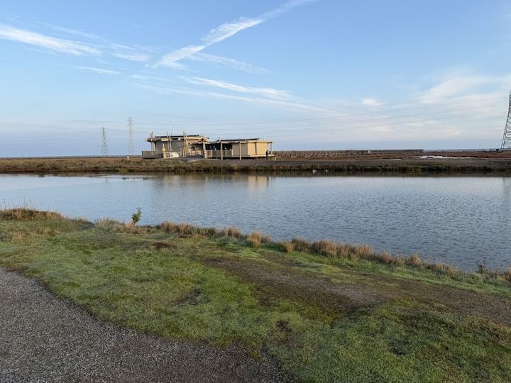 View of the Lucy Evans Center, near the start of the Baylands Nature Preserve parkrun.