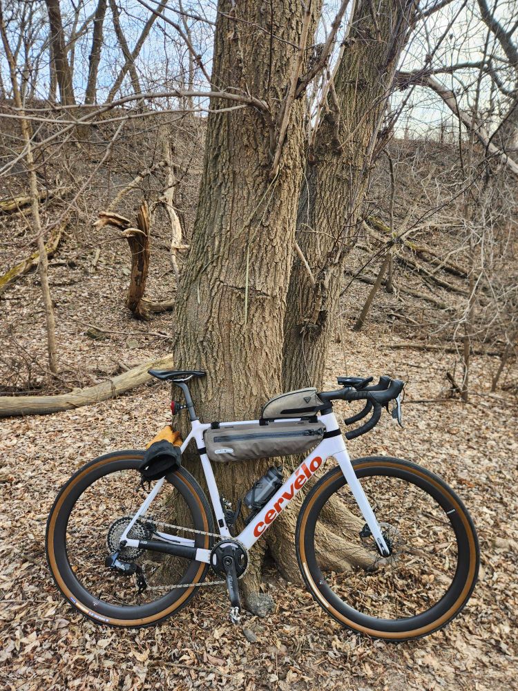 2023 Cervelo R5-CX cyclocross racing bicycle, with half-frame bag and top tube bag, leaning against tree.