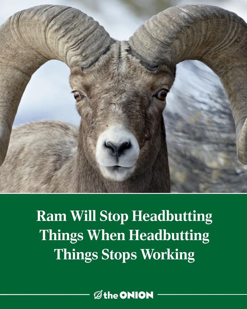 Ram Will Stop Headbutting Things When Headbutting Things Stops Working