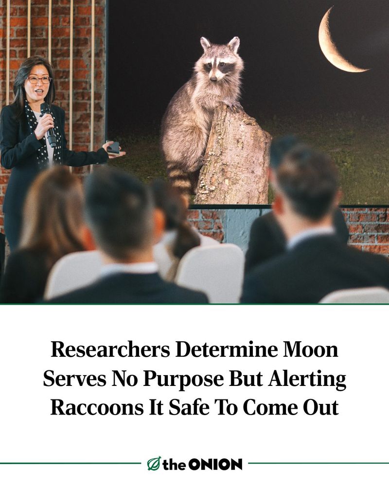 Researchers Determine Moon Serves No Purpose But Alerting Raccoons It Safe To Come Out
