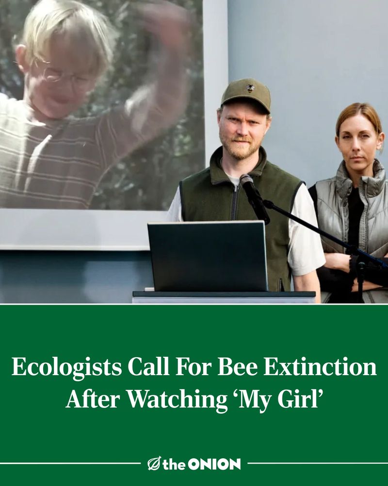 Ecologists Call For Bee Extinction After Watching ‘My Girl’