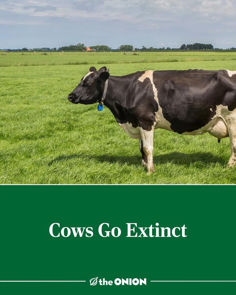 Cows Go Extinct